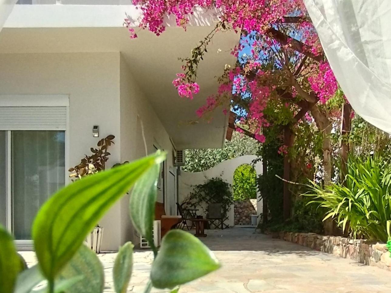 Appartamento Marilen Livadia  Esterno foto